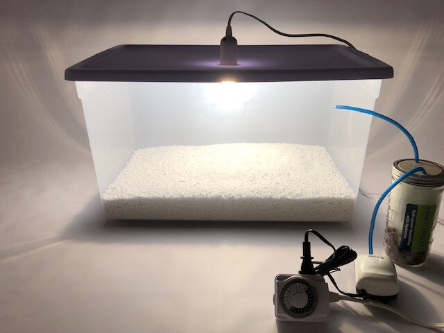 Mega Mushroom Growing & Incubator Kit | Fully Automated | 18 Sterilized Jars gallery
