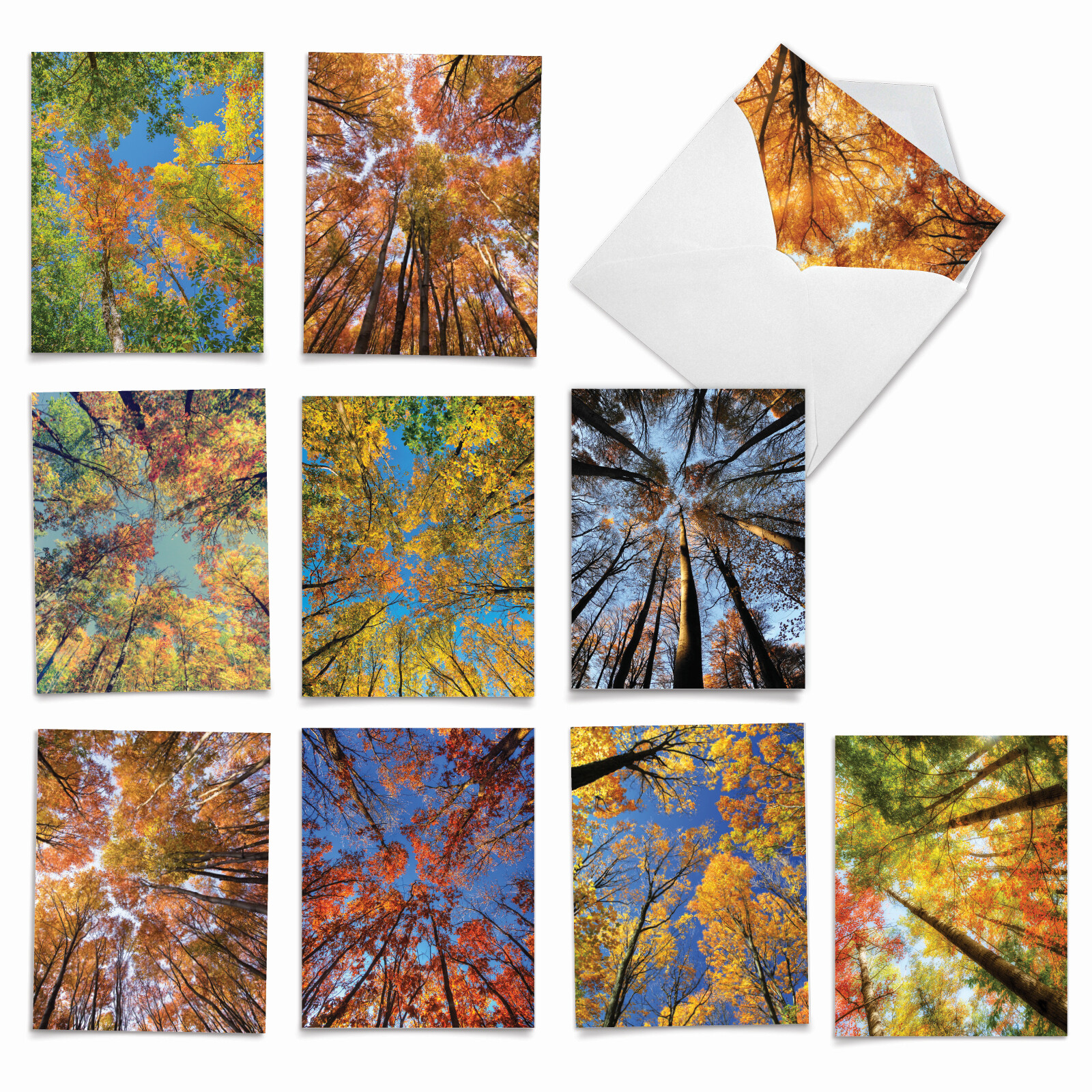 10 Assorted All Occasion Blank Note Cards with Envelopes - OVER THE TOP M2006 gallery