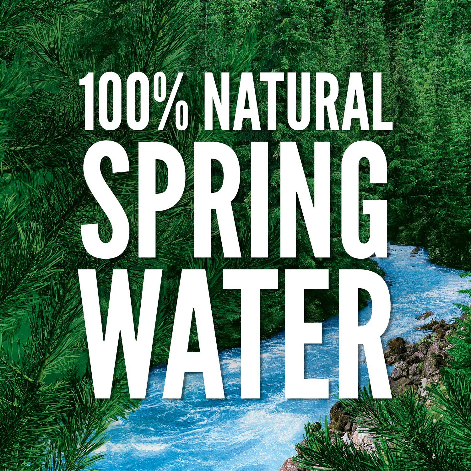 Poland Spring 100% Natural Spring Water, 8 ounces, 12 pack gallery