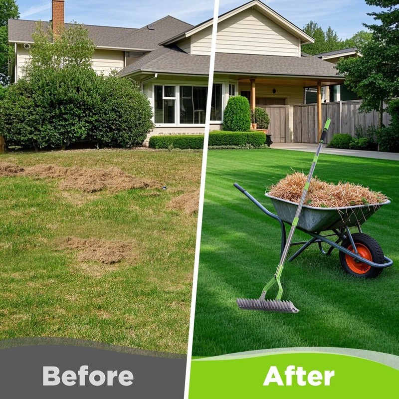 WORKPRO 15-Inch Thatch Rake for Lawns Heavy Duty Dethatcher Rake with 5FT Handle gallery
