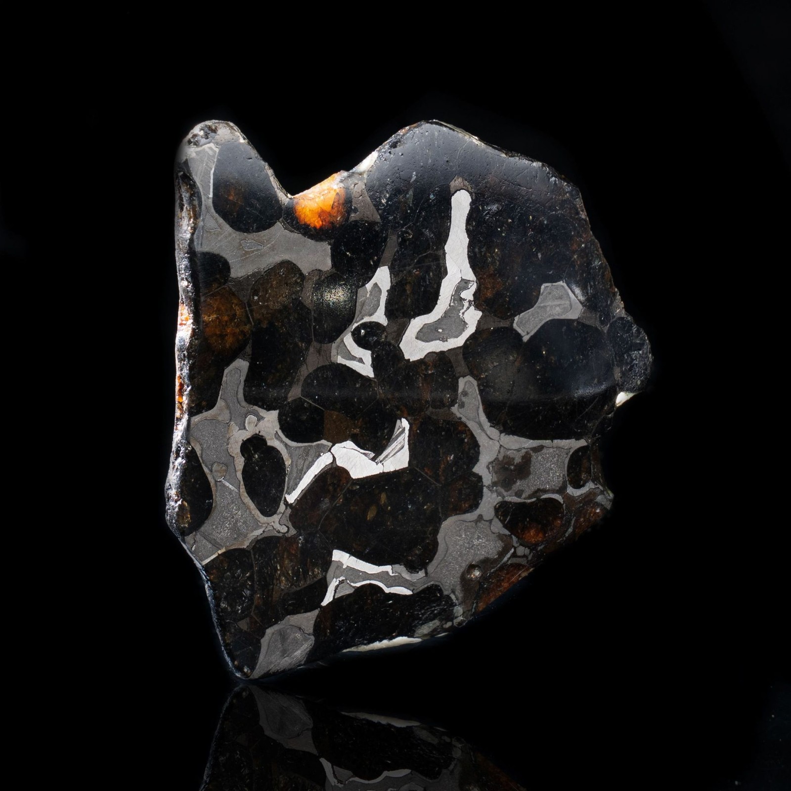 Authentic Brenham Pallasite Meteorite Slice - 24g Iron Nickel Matrix gallery