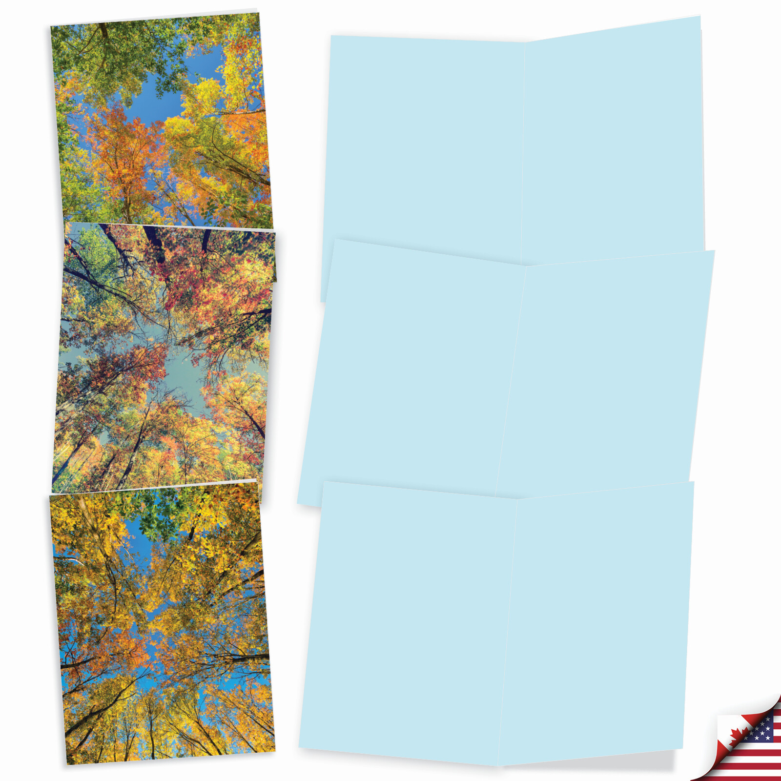 10 Assorted All Occasion Blank Note Cards with Envelopes - OVER THE TOP M2006 gallery
