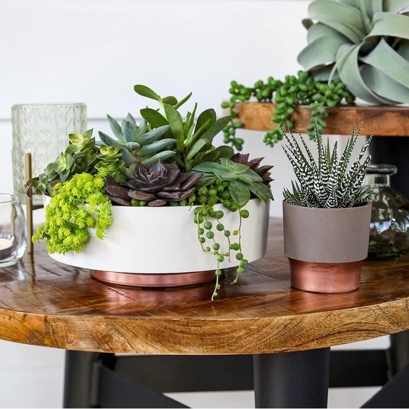 Durable Lightweight Succulent Planter W/ Drainage Hole Indoor Outdoor Plants New gallery