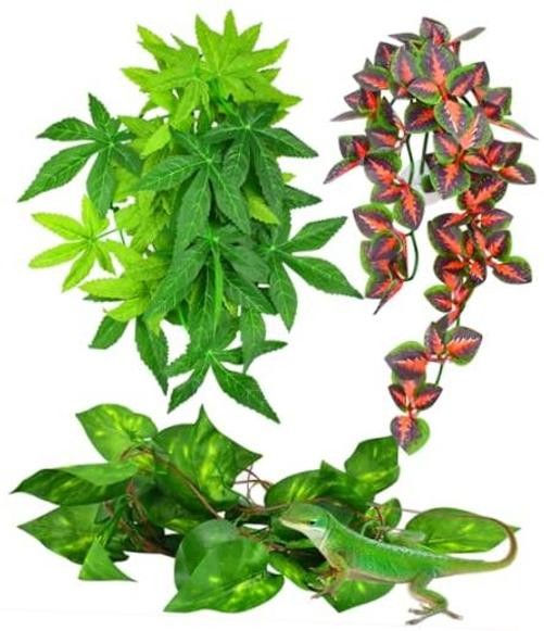 Reptile Plants, 3 PCS Amphibian Hanging Plants with Suction Cup Green+fire Red gallery