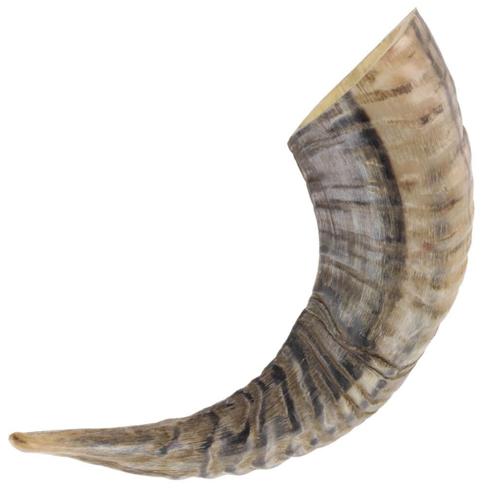 Natural Ram Horn Paperweight, Decorative Home Décor, 10-12 Inches - Novelty Gift gallery
