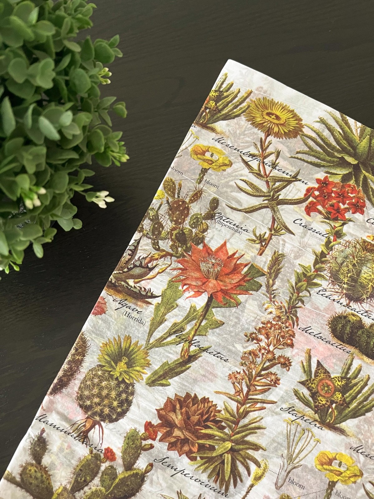 DESERT GARDEN Design Print Tissue Paper Sheets Choose Size & Package Amount gallery