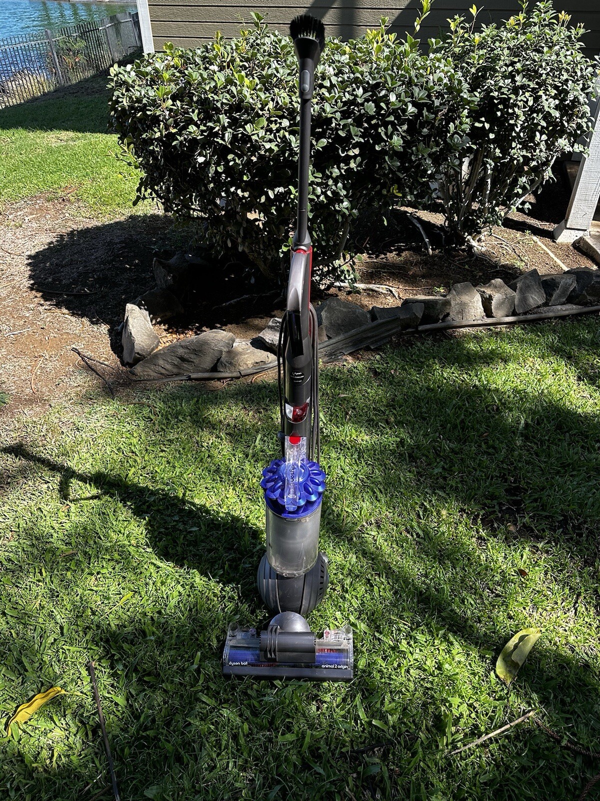 Dyson Ball Animal 2 Origin Vacuum - Powerful, Reliable, Pet Hair Masterpiece gallery
