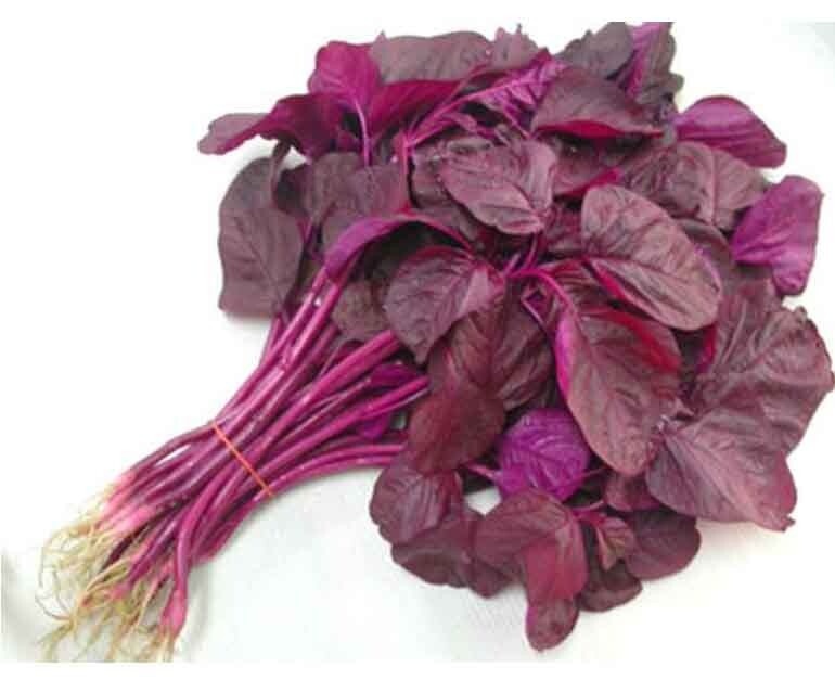 Non-GMO Asian Vegetable Red Amaranth Seeds（全红苋菜）300+Seeds 2023NEW! gallery