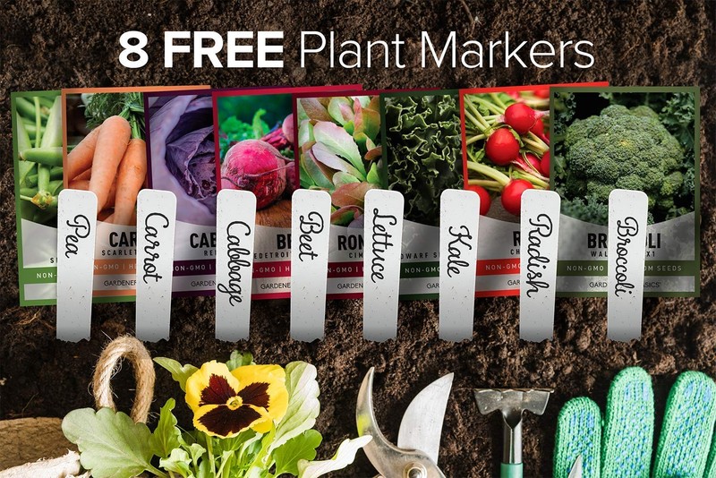 Winter, Fall, and Spring Vegetable Seeds for Planting | Cool Weather Crops | ... gallery