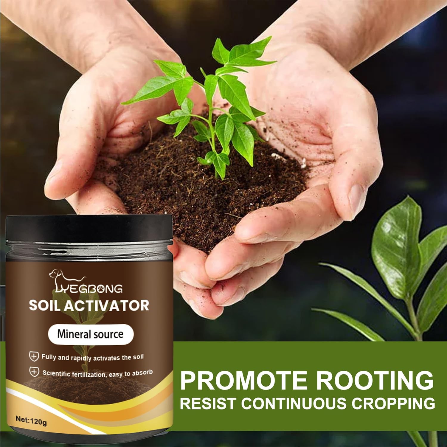 Soil Activator Organic Water Soluble Root Development Vegetables Plants Yegbong gallery