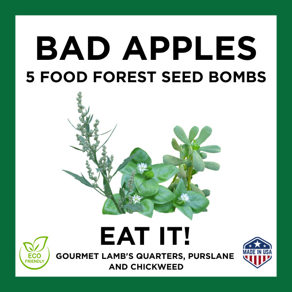 Bad Apples EAT IT!™ Food Forest Bombs - The Seed Bomb That Blasts Grocery Bills! gallery