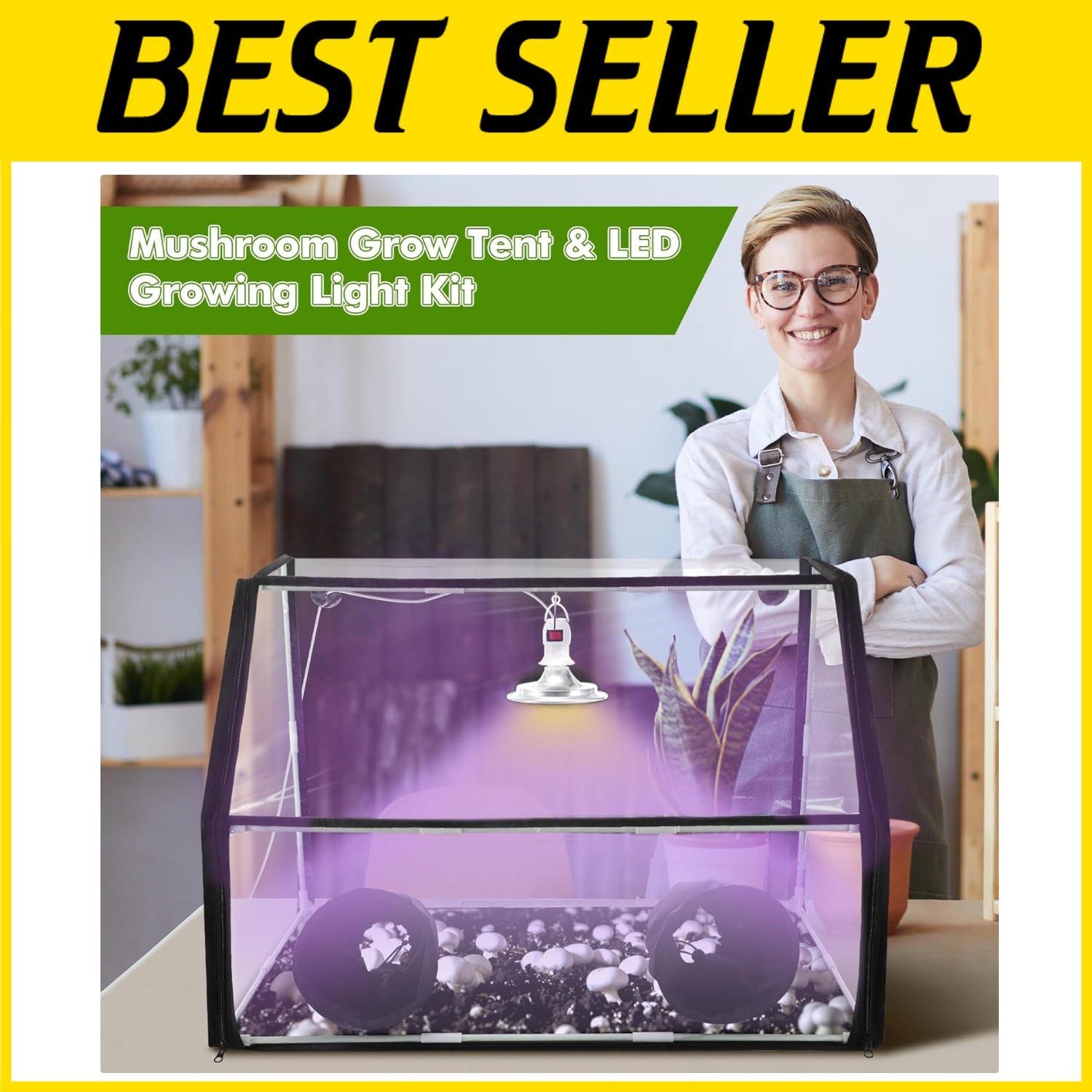 Easy-to-Use Mushroom Growing Setup with LED Lighting gallery