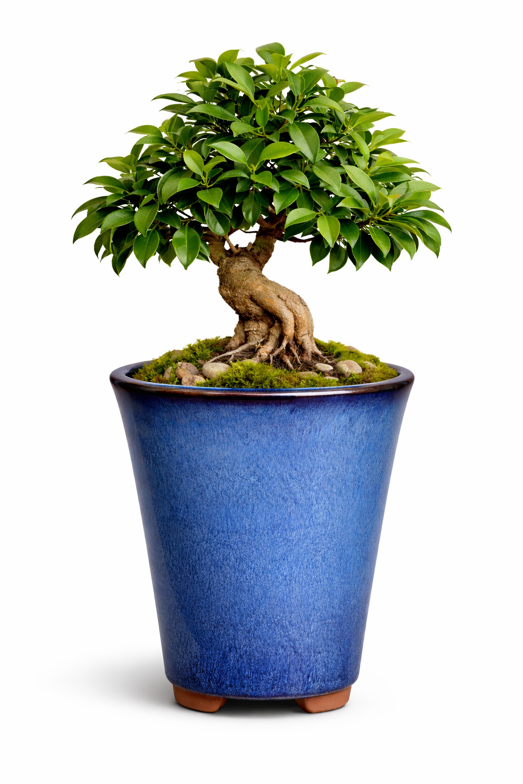 Rectangle Shohin Bonsai / Succulent Pot 3.7"x 3.3"x 3.1" - Blue Glazed gallery
