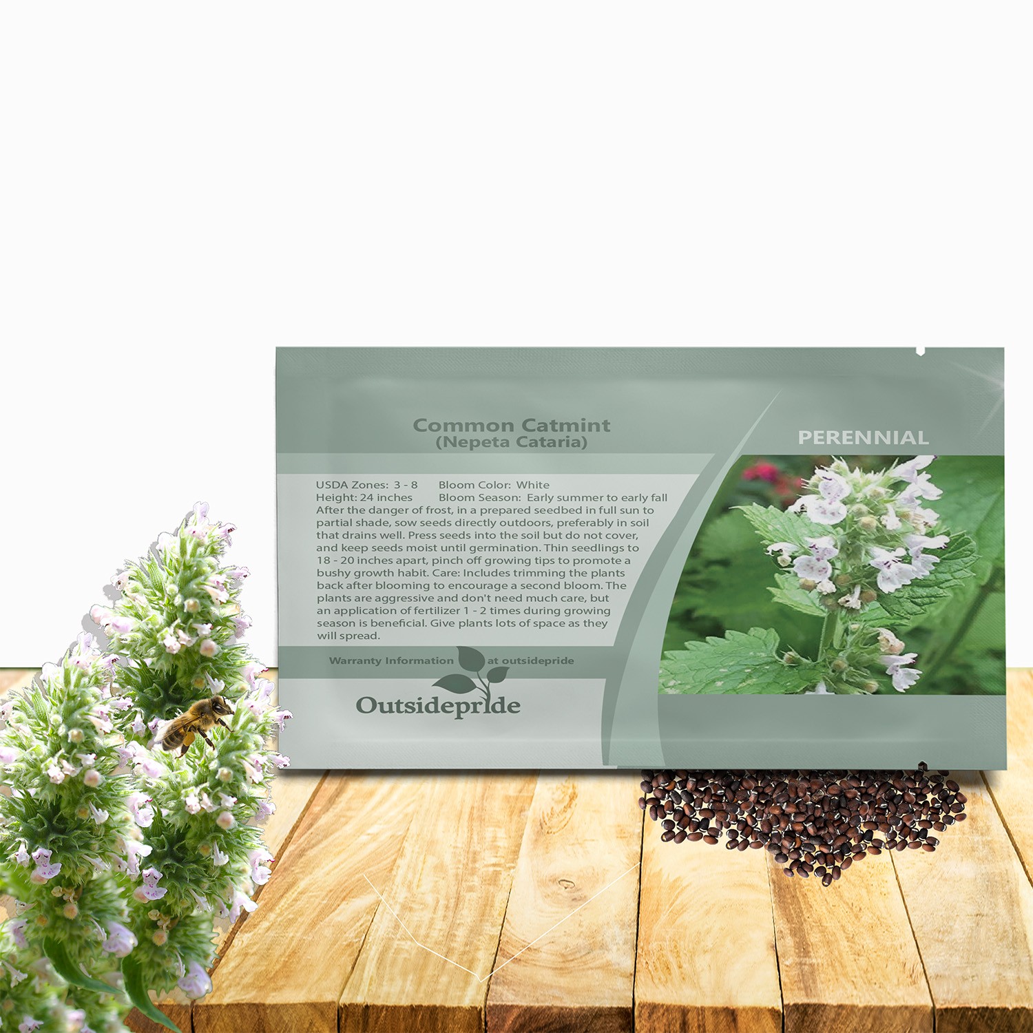 5000 Seeds Common Catmint Nepeta Cataria White Flowering Drought Resistant Herb gallery