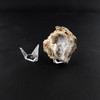 Mineral, Fossil, Geode Display Stands, 1.25" Triangle Holders, 12 Pack gallery