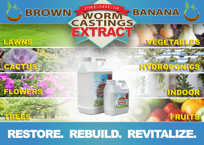Premium Worm Casting Tea Extract (1 Liter / 32 oz) - Organic - Made Fresh Weekly gallery