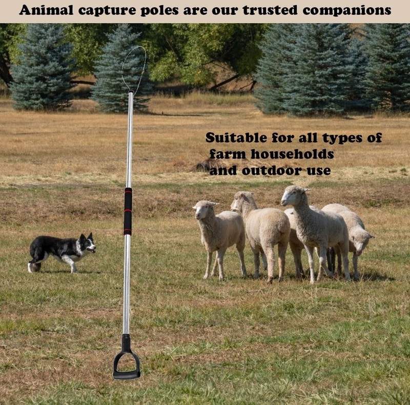 Animal Traps & Cages Adjustable 60–92 Inch Animal Catch Pole Animal Control Pole gallery