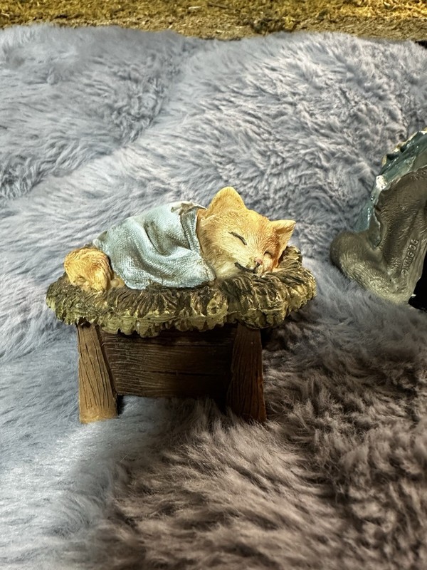 Cat Nativity Set - 9 piece gallery