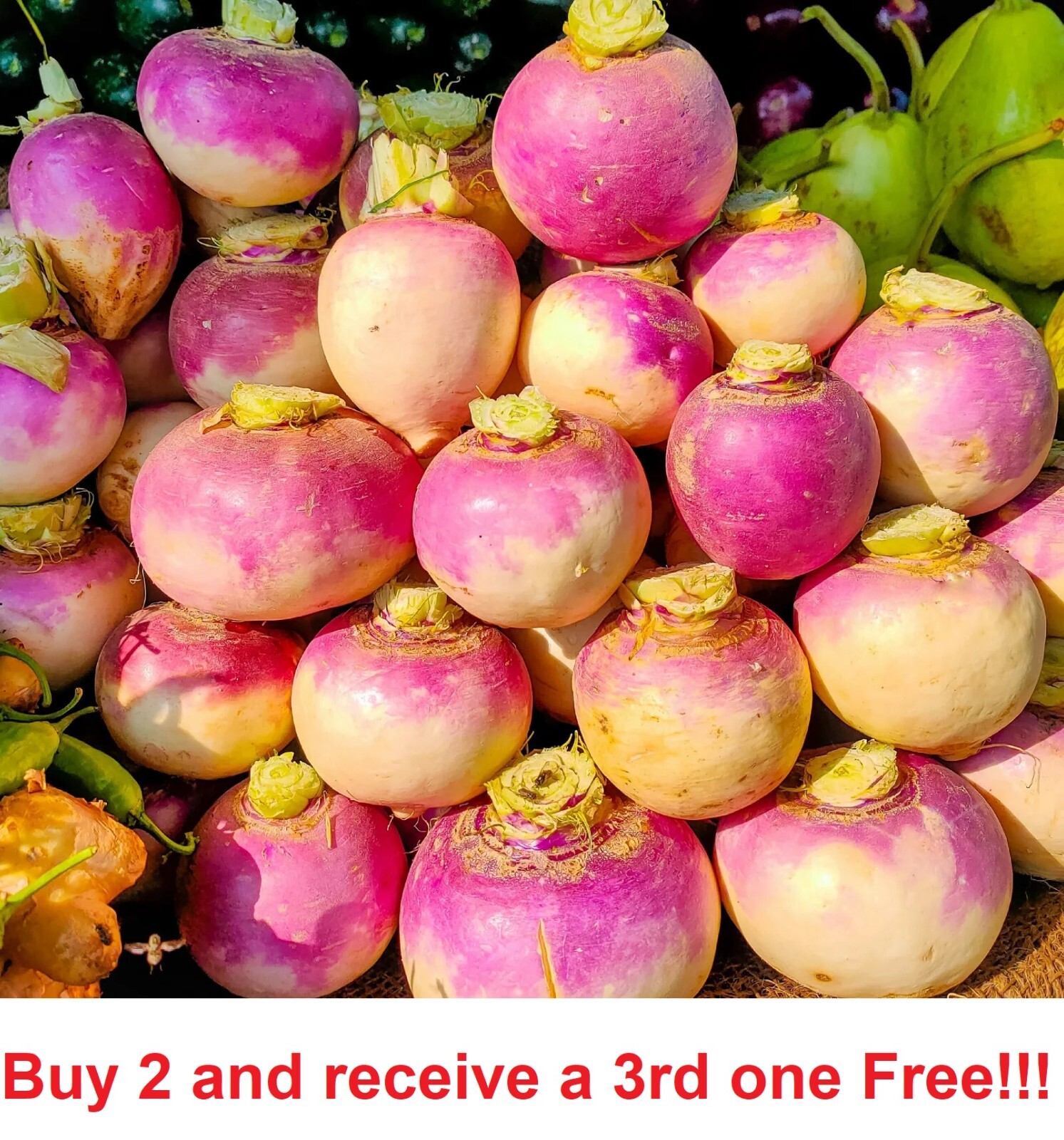 1 Pound Purple Top Turnip Seeds Non-GMO Heirloom Fresh Garden Seeds gallery