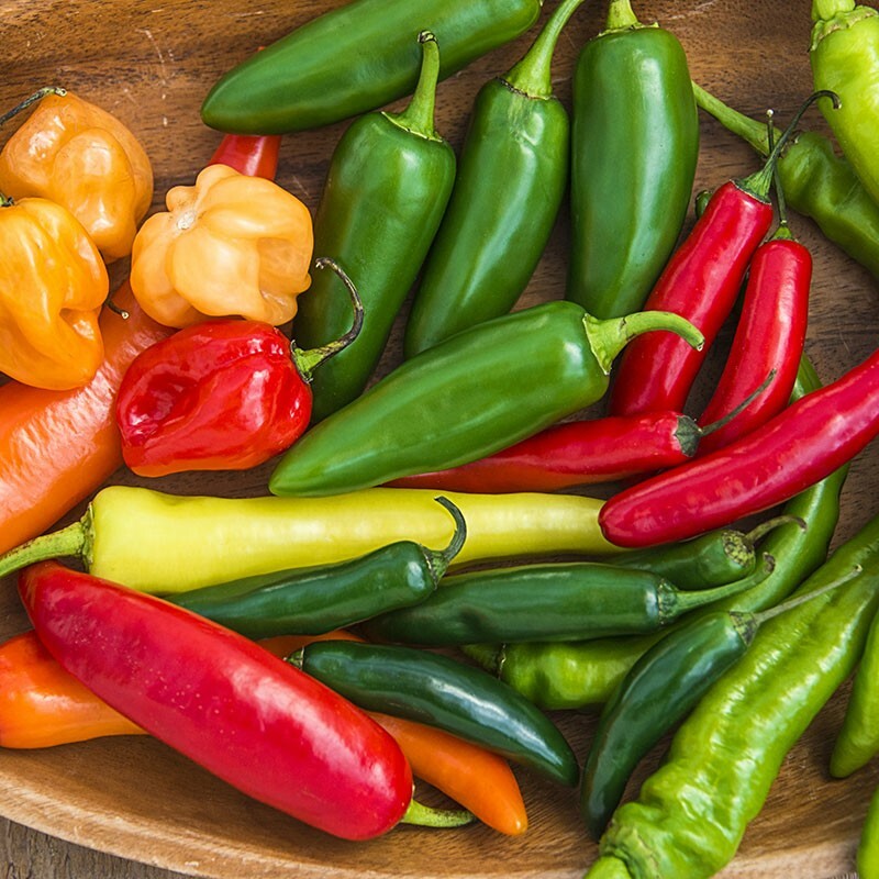 6 PACK PEPPER SEED COLLECTION ~ heirloomseedguy ~ 2026 ~ NON-GMO gallery
