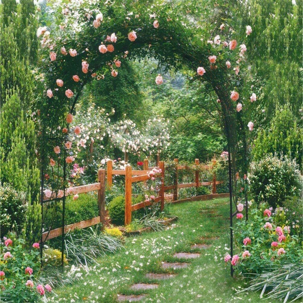 Rustproof Metal Garden Patio Arch Rose Arbour Archway Climbing Plant Trellis US gallery