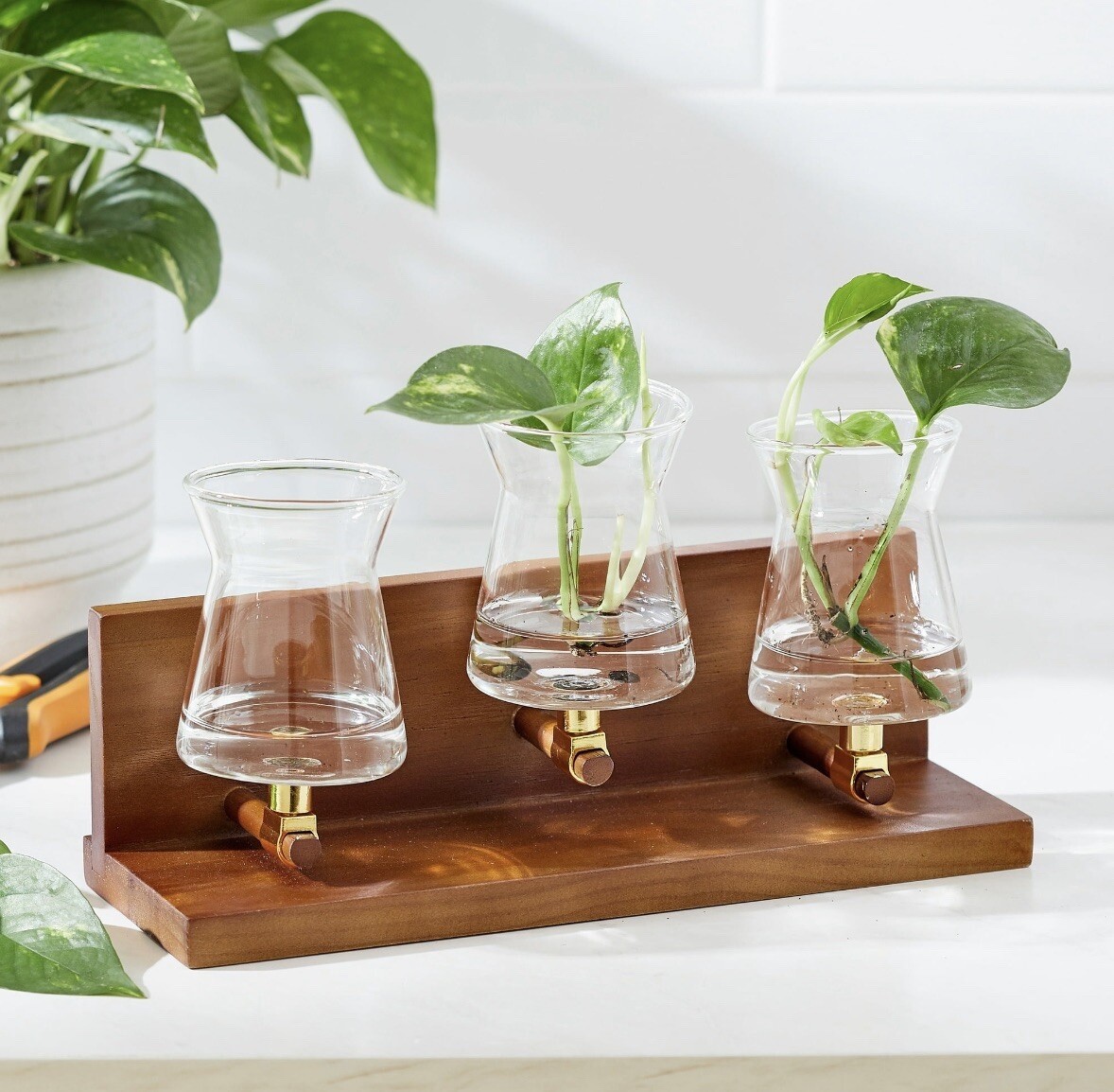 Better Homes & Gardens Propagation Station Wood Metal Glass Plants Growing Plant gallery