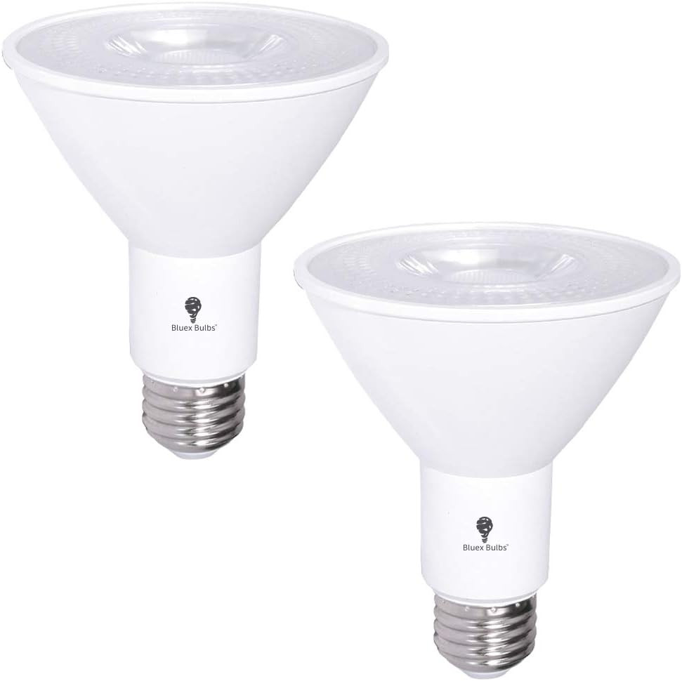 2 Pack PAR30 Outdoor LED Flood Light Bulb 12W 100 Watt Equivalent 900 Lumens ... gallery