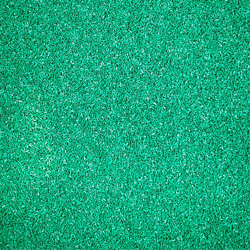 PENNINGTON BERMUDA GRASS SEED for Full Sun gallery
