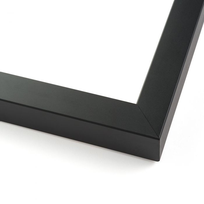 The New Yorker Magazine Picture Frame ? Fits Magazines Measuring 8 5/8 x 11 5/8 gallery