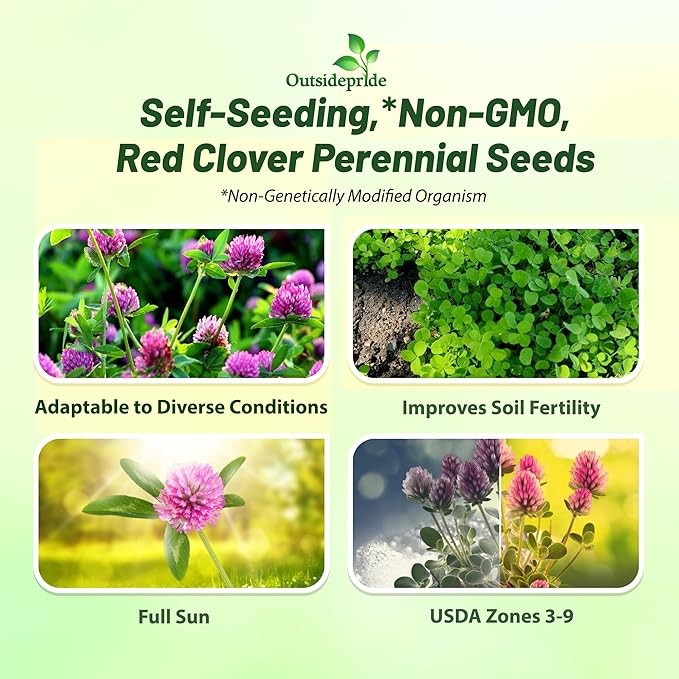 40 LBS - Inoculated Red Clover Seeds - Trifolium Pratense Clover gallery