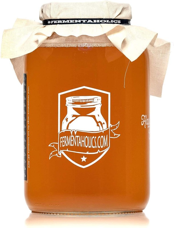 Organic Kombucha Starter Kit 15oz SCOBY Makes One Gallon Brew at Home gallery