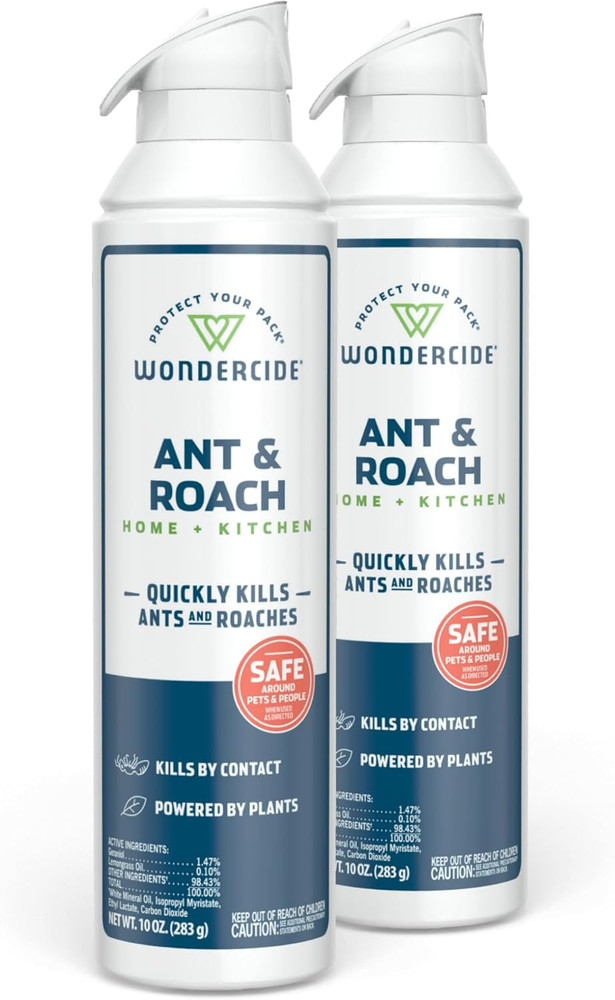 - Ant & Roach Aerosol Spray for Kitchen, Home, and Indoor Areas - Ant, Roach, Sp