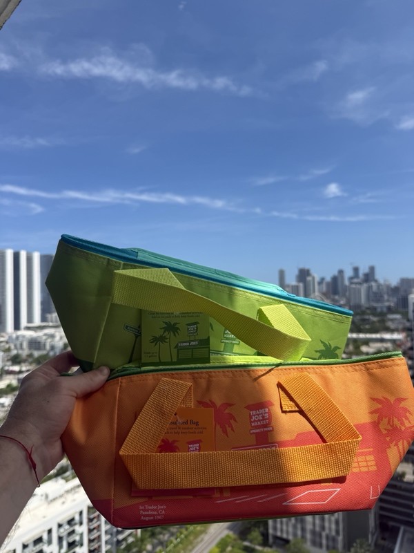 Trader Joe’s 2026 Summer Mini Insulated Tote Bags Set of 6 NWT Authentic gallery