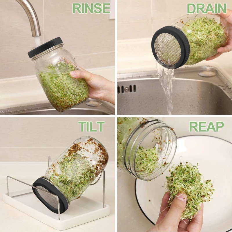 Organic Seed Sprouting Kit - 2 Mason Jars, Stainless Lids & Microgreens Stand gallery