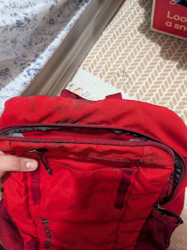 Patagonia Anacapa 20L Backpack Daypack Lightweight Red 3