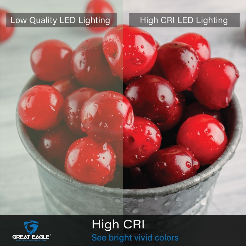 Great Eagle GU24 Led Bulb - A19 Shape, 4 Count (Pack of 1), 2700k Warm White gallery