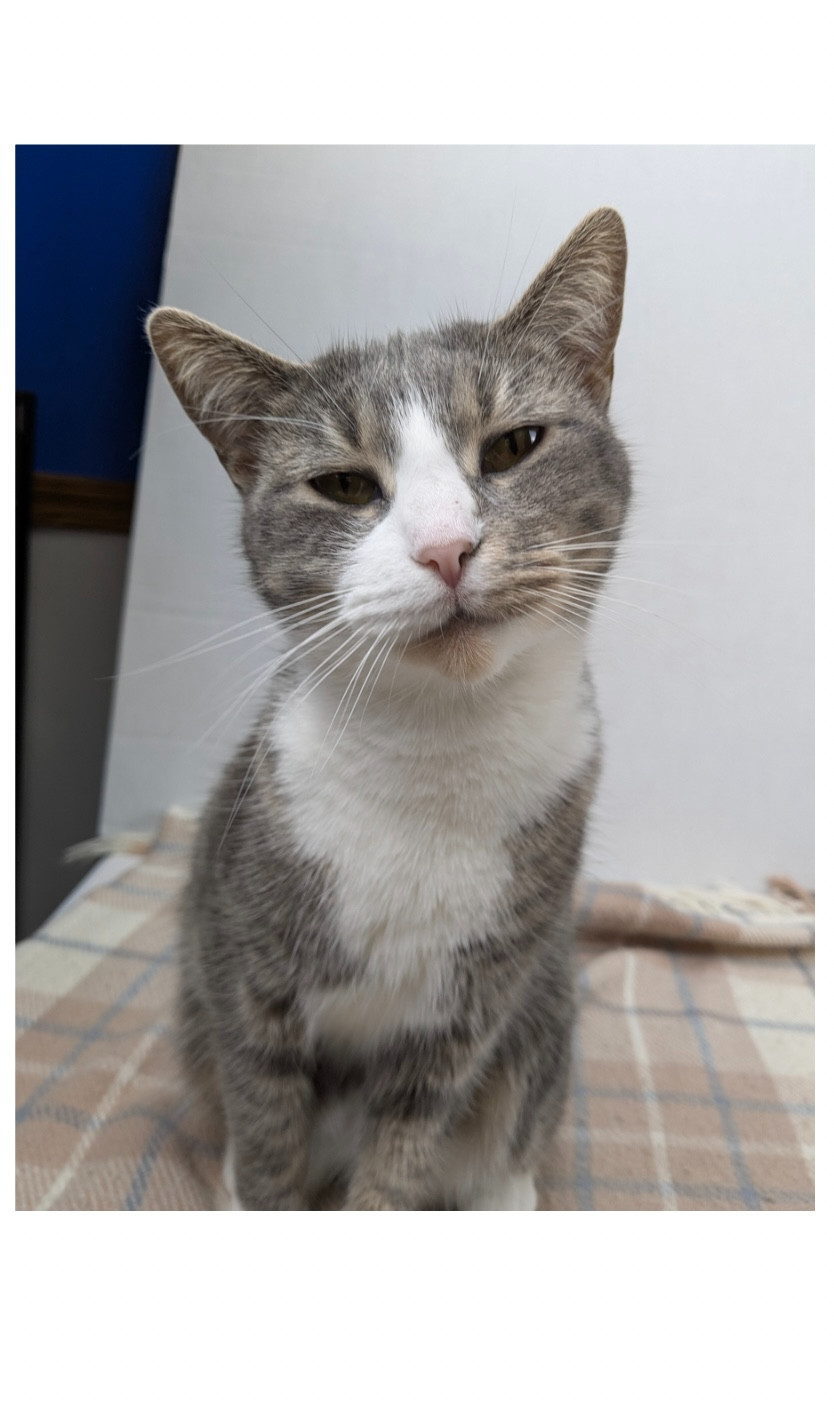 Design Your Own Custom Vinyl Sticker | Upload Your Photo | Personalized Stickers gallery