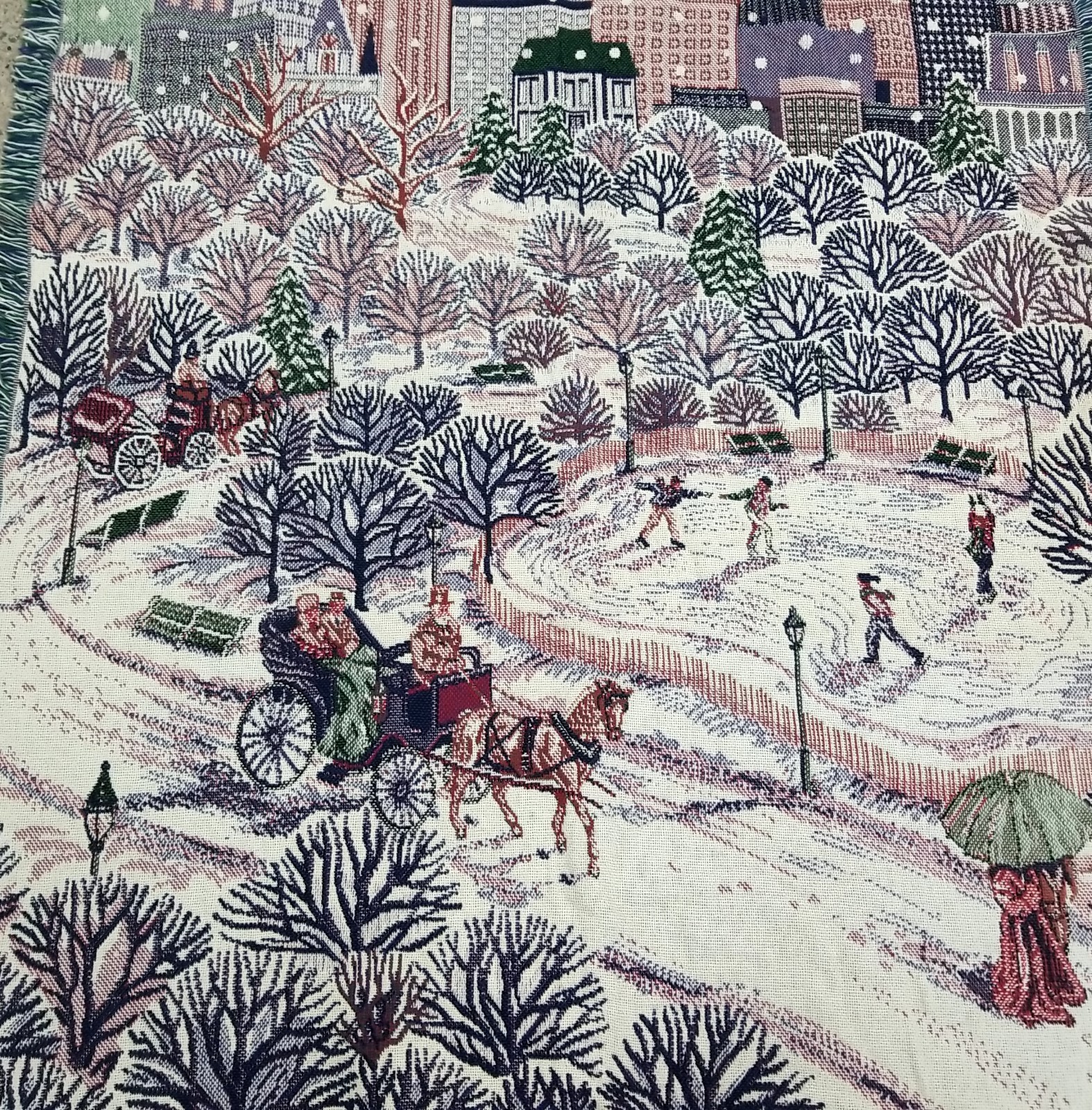Chathan Tapestry Fringed Throw Blanket New York City Central Park CA4667 46x67" gallery