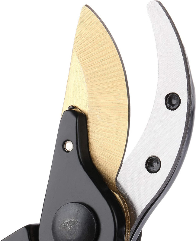 - Pruning Shears Garden Shears 8 Professional Titanium Blade Garden gallery