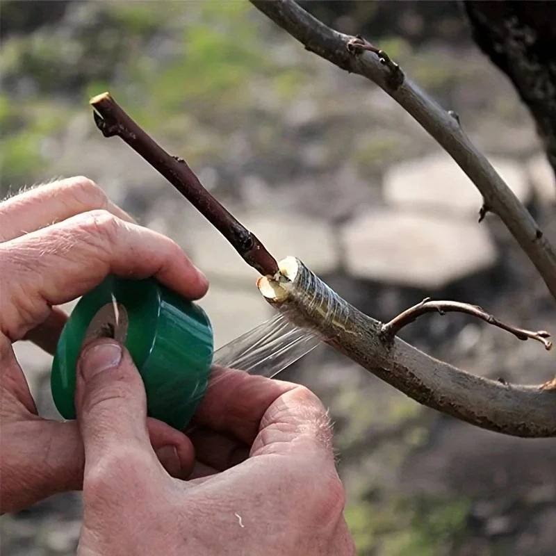 Eco-friendly Biodegradable Grafting Tape Graft Membrane Gardening Bind Belt Plan gallery