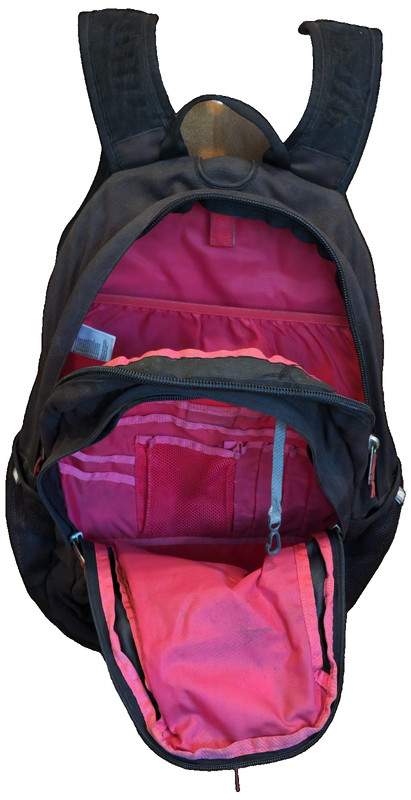 The North Face Jester Backpack Black with Red Bungee Straps Pre-Owned 3