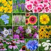 Deer Resistant Wildflower Seed Mix, 1/4 LB, 13 Species, FREE SHIPPING gallery