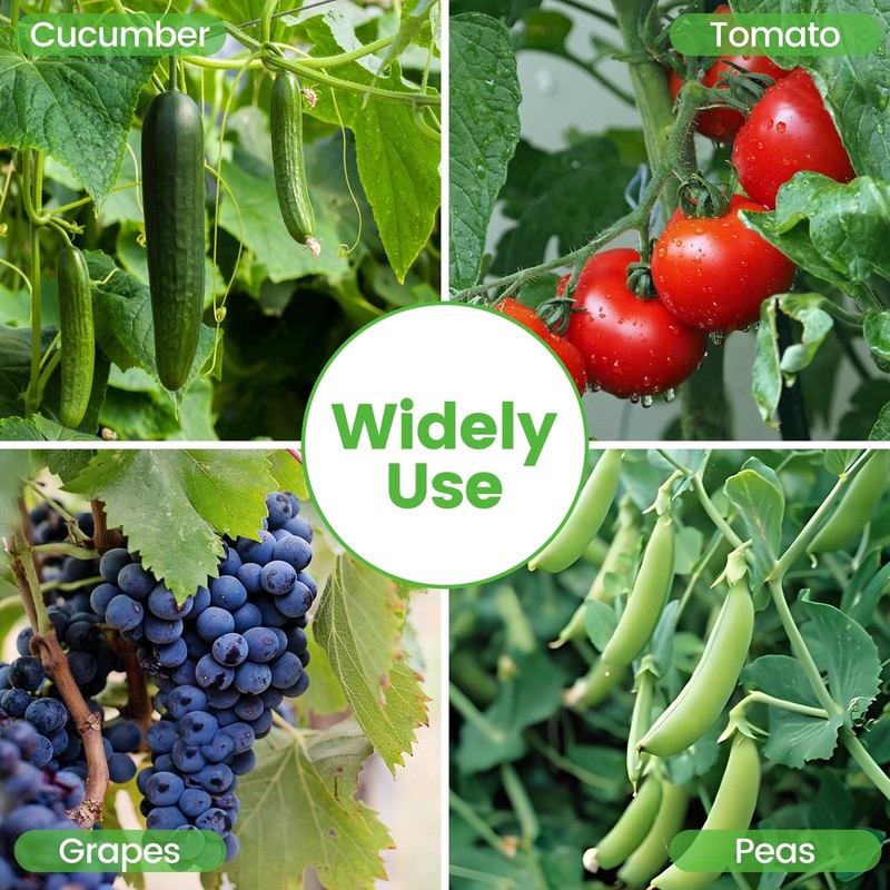 Toriexon Foldable Cucumber Trellis - 3 Pack 48 L X 34 W A-Frame Trellis gallery