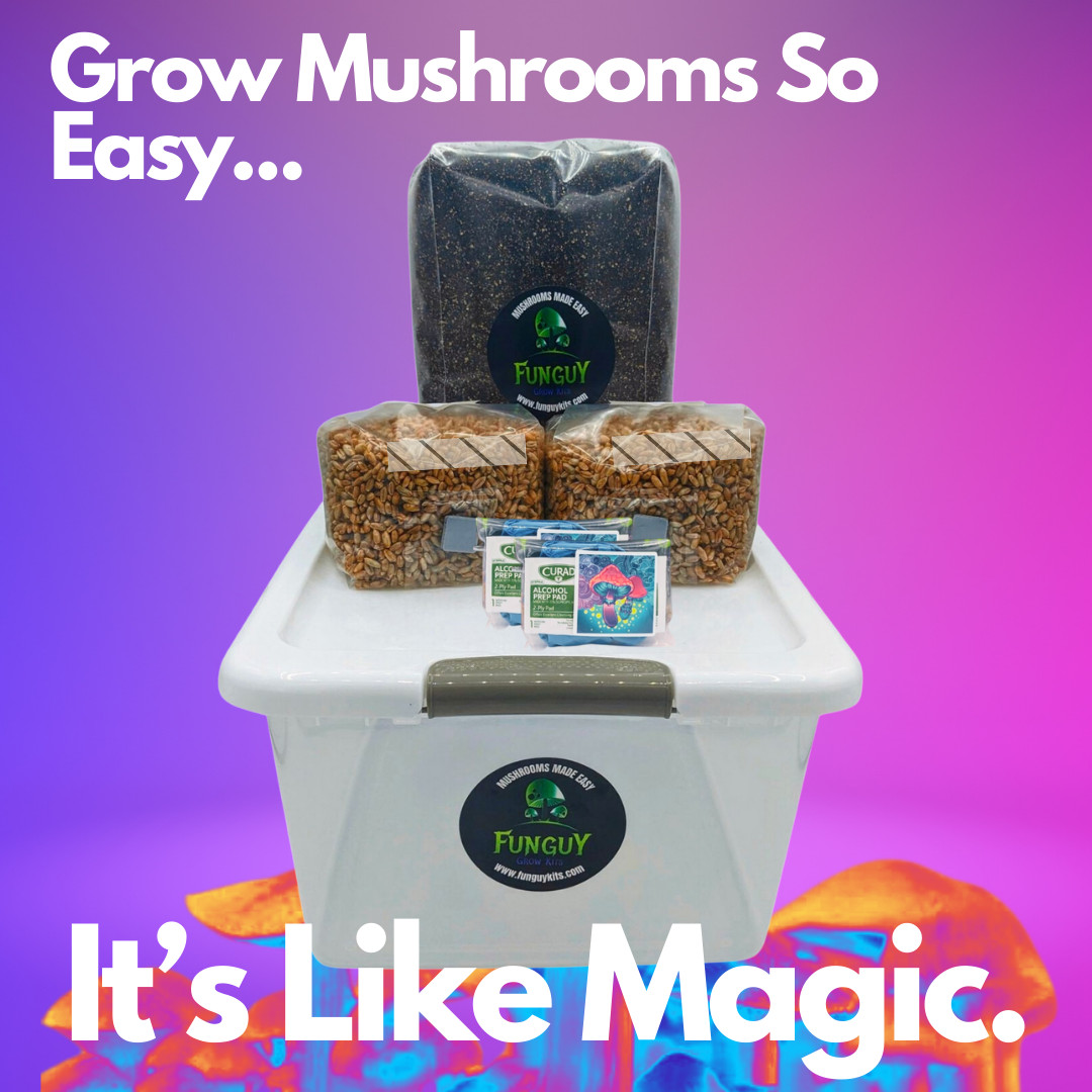Grow Like Magic - Mushroom Grow Kit, Grain Bags Substrate and Monotub & Bonus gallery