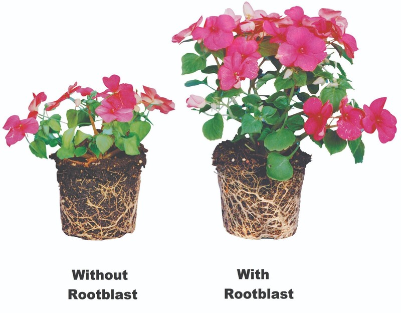 Rootblast - Plant Growth Formula gallery