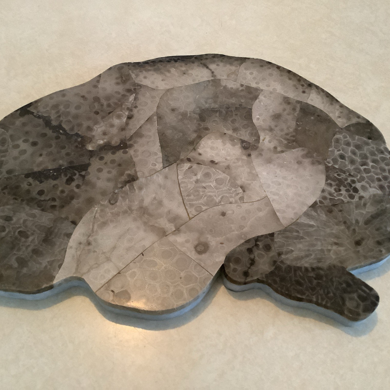 Marble, Petoskey Stone Trivet / Center Piece “Brain Shape” Or Quote Cloud gallery