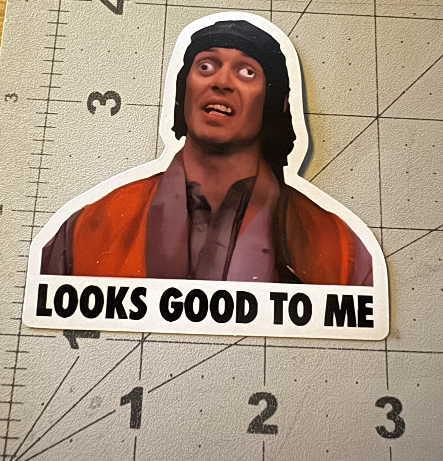 Funny “Looks Good To Me” Approval Sticker 3” Sticker For Toolbox, Steve Buscemi gallery