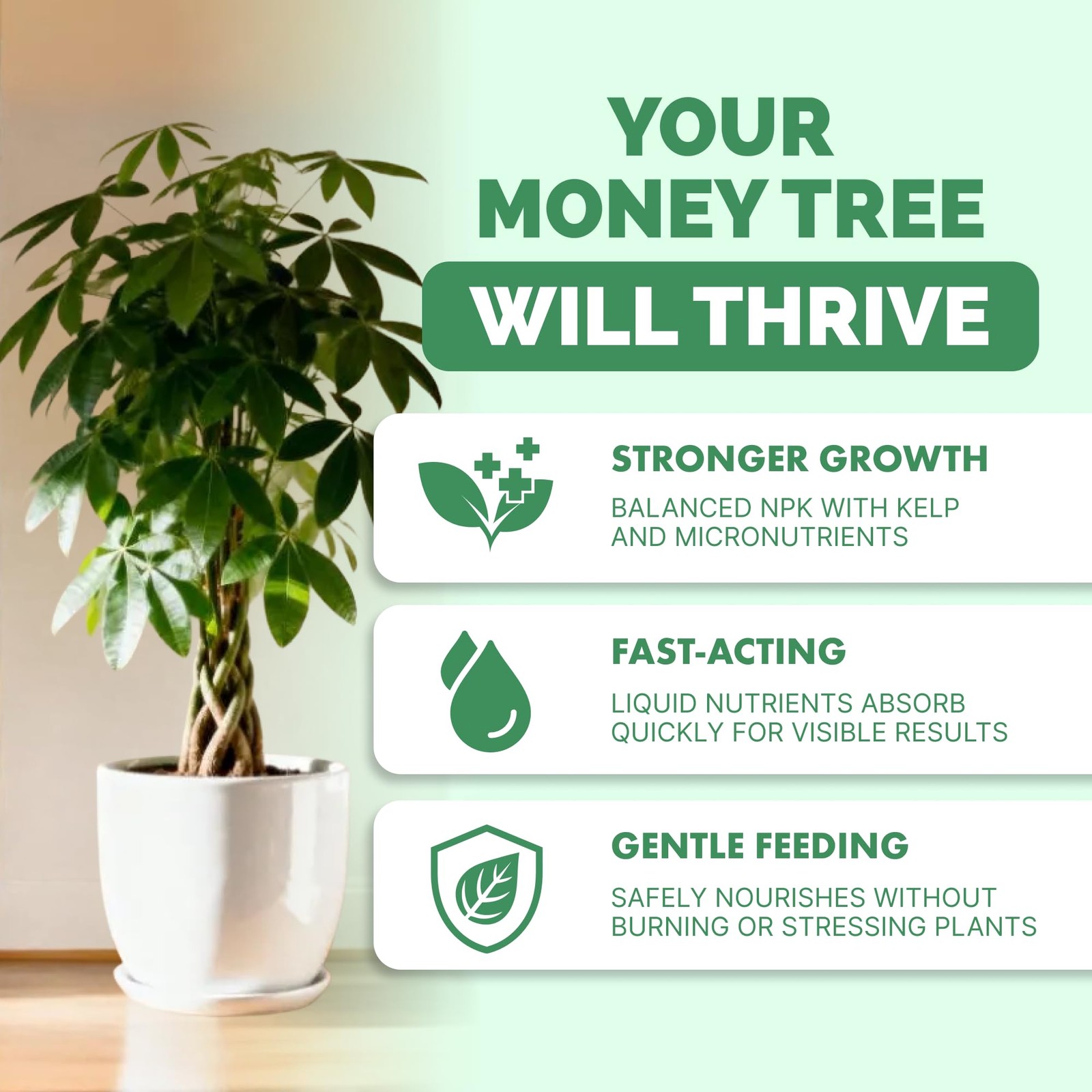 Liquid Fertilizer for Money Trees – Promote Healthy Growth & Strong Roots, 1 Gal gallery