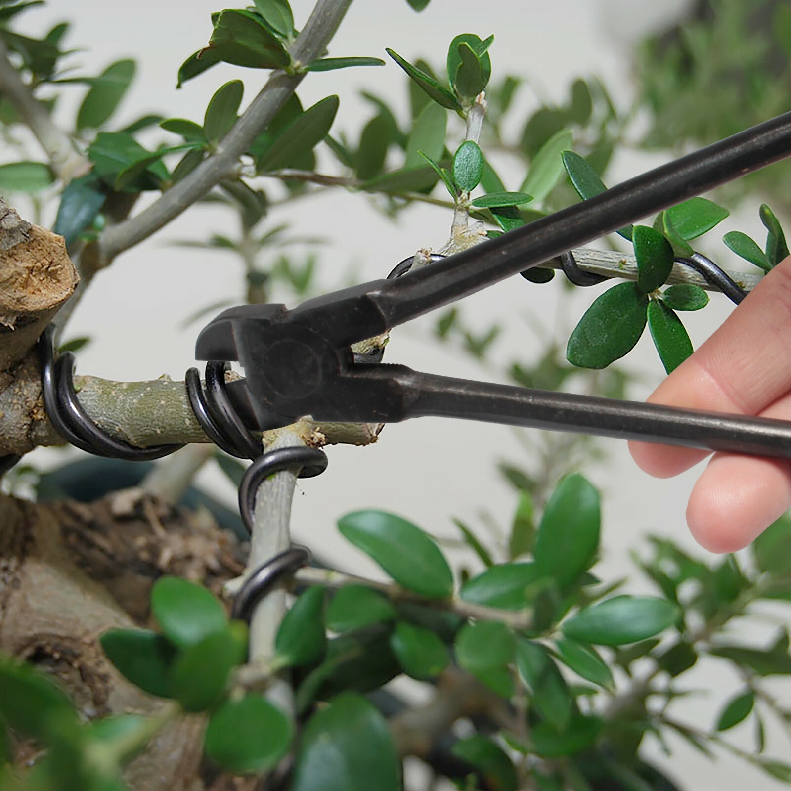 BambooMN 8" Wire Cutter Tool - 1 Piece gallery