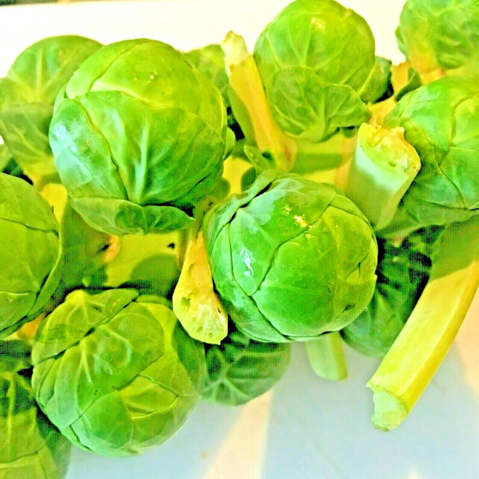 BRUSSELS SPROUTS 100 SEEDS SPRING GARDEN HEIRLOOM VEGETABLE NON-GMO GREENS USA gallery